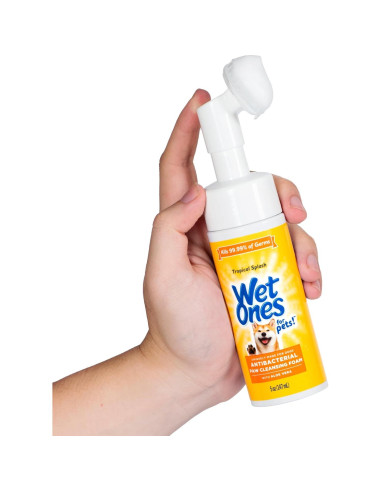 Wet Ones Limpiador Antibacteriano para Patas de Perro 142 g