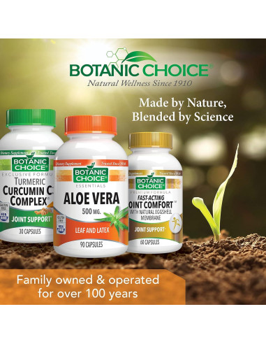 Suplemento Digestivo Aloe Vera Botanic Choice 90 Cápsulas 500mg