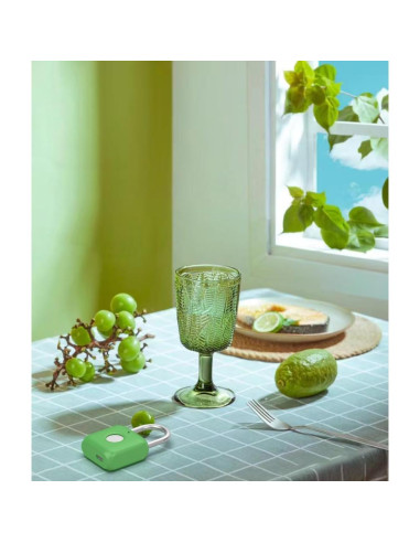 Candado Biométrico eLinkSmart Verde Aguacate para Gimnasio