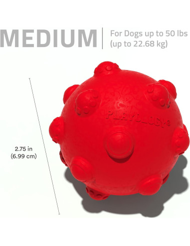 Pelota de Dentición Mediana Playology con Aroma a Carne