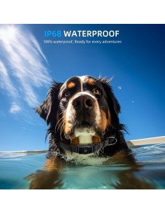 Collar para Perro Furrigo con AirTag Integrado Negro XS 2