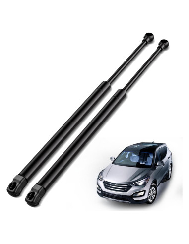 Amortiguadores Traseros ARANA PM1017 para Hyundai Santa Fe 2007-2012