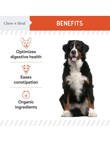 Polvo de Calabaza Orgánica Chew + Heal 113.4 g - Suplemento Digestivo