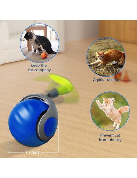 Pelota Interactiva para Gatos MAROJEIF Azul 2.54cm Recargable Pelota Interactiva para Gatos MAROJEIF Azul 2.54cm Recargable