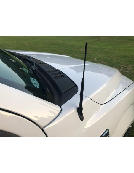 Antena de Coche TN TrunkNets para Ford F150 2009-2024 23 cm Antena de Coche TN TrunkNets para Ford F150 2009-2024 23 cm