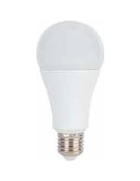Lámpara de Estudio LED ProMaster 14W 5600K Luz Diurna Lámpara de Estudio LED ProMaster 14W 5600K Luz Diurna