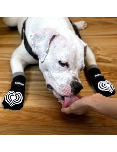 Calcetines Terapéuticos Antideslizantes PawFlex para Perros Calcetines Terapéuticos Antideslizantes PawFlex para Perros
