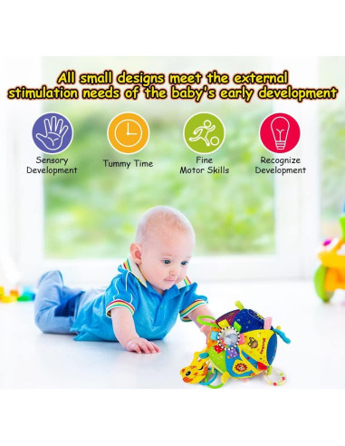 Bola Sensorial 8 en 1 Teytoy para Bebés 3 a 12 Meses