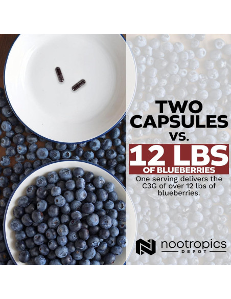 Cápsulas de Cianidina 3-Glucosido Nootropics Depot 125mg 60 Unidades Cápsulas de Cianidina 3-Glucosido Nootropics Depot 125mg 60 Unidades