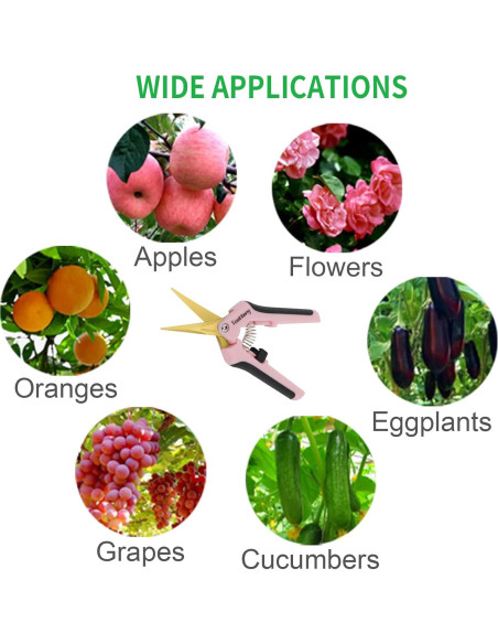 Tijeras de Podar TOOLTENG Rosa 12 Paquetes Cuchilla Curvada Tijeras de Podar TOOLTENG Rosa 12 Paquetes Cuchilla Curvada