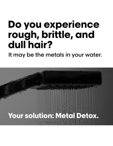 Champú Metal Detox L'Oréal Professionnel 300 ml - Sin sulfatos