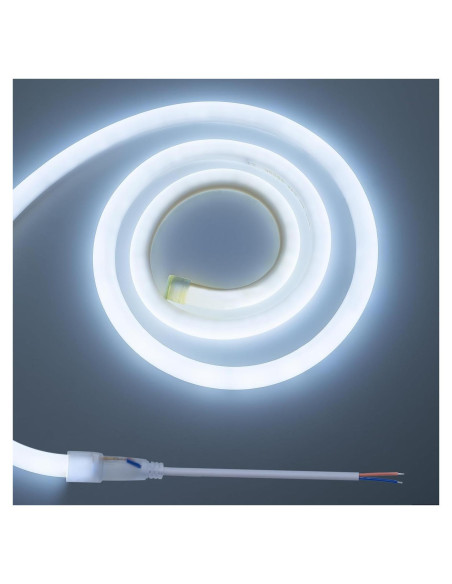 Tira LED Neon 24V 16.4ft IP65 ZHONG YI Blanco Frío 6500K Tira LED Neon 24V 16.4ft IP65 ZHONG YI Blanco Frío 6500K