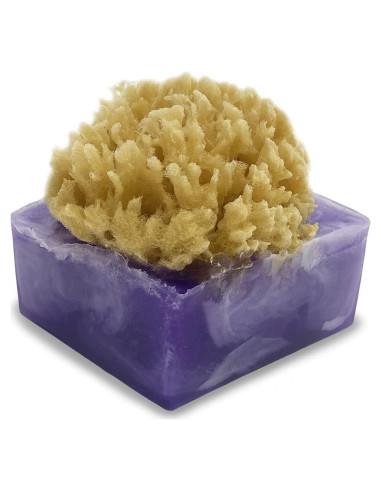 Jabón de Barra Primal Elements Lavanda Arándano - 2 Unidades