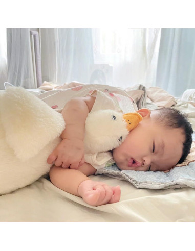 Ganso de Peluche Suave 50 cm BXEBUI - Almohada y Juguete
