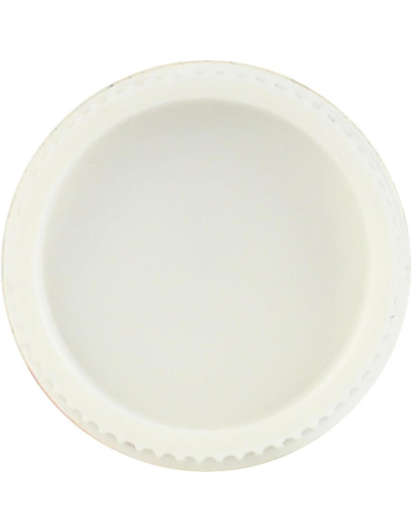 Bálsamo Labial Rescate Burt's Bees 4.25 g Orgánico Bálsamo Labial Rescate Burt's Bees 4.25 g Orgánico