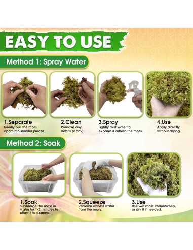 Musgo Seco Natural DUSPRO para Plantas - 140g Sphagnum