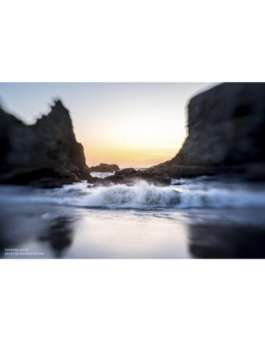 Lente Lensbaby Sol 45mm f/3.5 para Nikon Z - Enfoque Selectivo