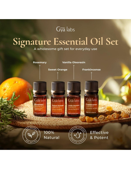 Conjunto de Aceites Esenciales Gya Labs 8 x 5 ml - Aromaterapia Conjunto de Aceites Esenciales Gya Labs 8 x 5 ml - Aromaterapia