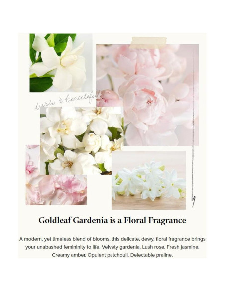 Lavado de Manos Thymes Gardenia Goldleaf 443.6 ml Lavado de Manos Thymes Gardenia Goldleaf 443.6 ml