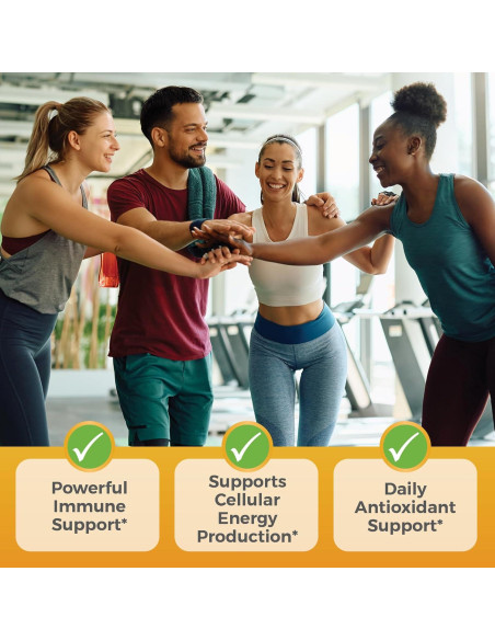 Suplemento de Vitamina C 1000mg + Zinc 20mg Viva Naturals - 250 Cápsulas Veganas Suplemento de Vitamina C 1000mg + Zinc 20mg Viva Naturals - 250 Cápsulas Veganas
