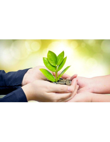 Suplemento Adaptógeno Natural 1Bot - Ginseng, Maca, Schisandra