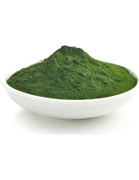 Polvo de Chlorella Yupik 249g - Superfood Nutritivo