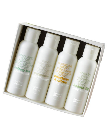 Conjunto de Regalo de Viaje Atelier Bloem - Gel, Champú y Loción