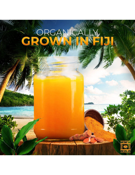 Raíz de Cúrcuma Orgánica Fresca 0.45 kg HABP GLOBAL Raíz de Cúrcuma Orgánica Fresca 0.45 kg HABP GLOBAL