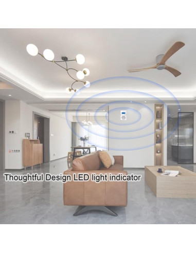 Detector de Monóxido de Carbono Portátil CDR-817 - Alarma LED