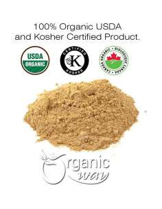 Polvo de Guduchi Orgánico 450g - Tinospora cordifolia - USDA 2