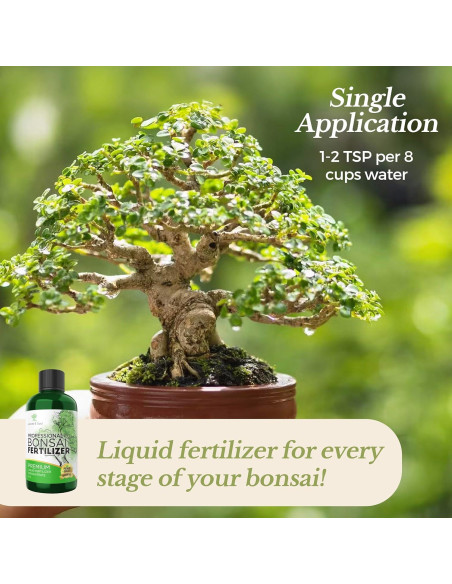 Fertilizante Líquido Bonsai Leaves and Soul 3-1-2 0.24 L Fertilizante Líquido Bonsai Leaves and Soul 3-1-2 0.24 L
