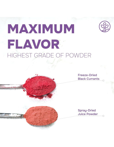Polvo de Grosella Negra Jungle Powders 141.75g Liofilizado Polvo de Grosella Negra Jungle Powders 141.75g Liofilizado
