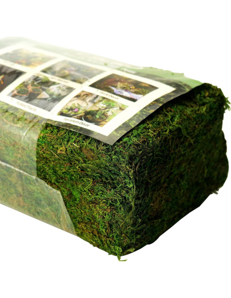 Musgo Artificial Verde Fresco CIICRO 16 Onzas para Decoración Musgo Artificial Verde Fresco CIICRO 16 Onzas para Decoración