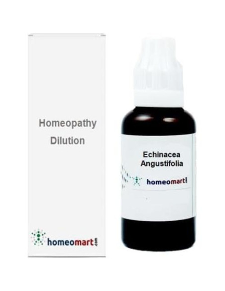 Dilución Homeopática Echinacea Angustifolia 200C 30ml Dilución Homeopática Echinacea Angustifolia 200C 30ml
