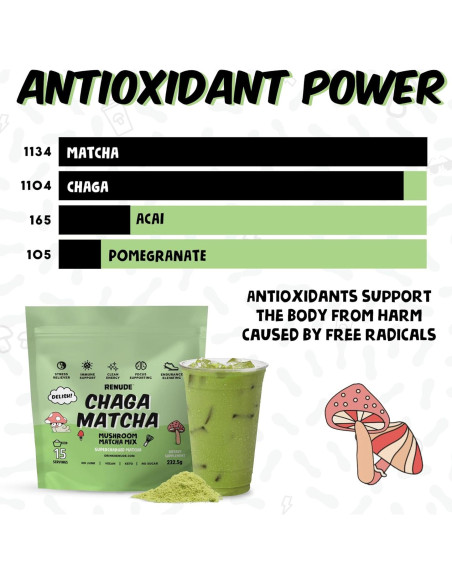 Renude Chaga Matcha - Polvo de Hongo Chaga 30 Porciones Renude Chaga Matcha - Polvo de Hongo Chaga 30 Porciones