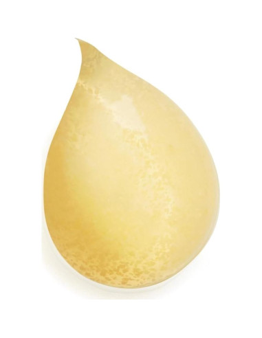 Gel Facial Buff and Wash Sisley Paris 100 mL Exfoliante Suave