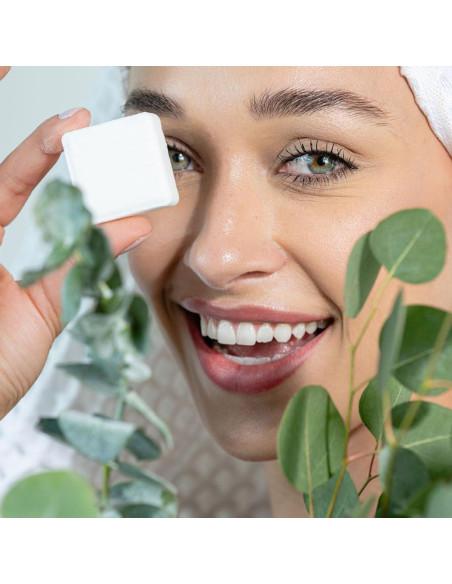 Pastillas de Vapor de Aromaterapia Zensah - Eucalipto y Mentol Pastillas de Vapor de Aromaterapia Zensah - Eucalipto y Mentol
