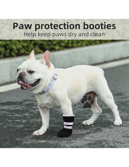 Bota de Recuperación para Perros ETIAL XL Antideslizante Bota de Recuperación para Perros ETIAL XL Antideslizante