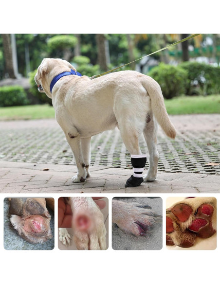 Bota de Recuperación para Perros ETIAL XL Antideslizante Bota de Recuperación para Perros ETIAL XL Antideslizante