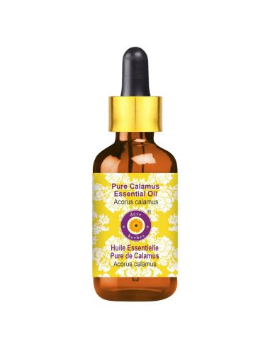 Aceite Esencial Puro Calamus Deve Herbes 15ml - Ligero y No Graso