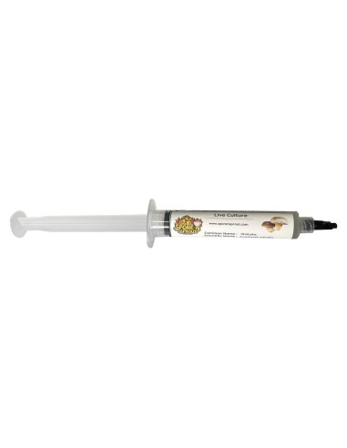Cultivo Líquido de Champiñón Shiitake 12 ml - Inoculación Fácil