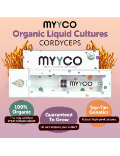 Cultivo Líquido de Cordyceps Orgánico MYYCO - Crecimiento Rápido 2
