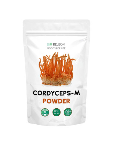 Polvo de Cordyceps Militaris 227 g - Suplemento Inmunológico Beleon