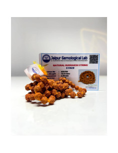 Mala de Rudraksha 5 Mukhi SHIVOHAM 108+1 cuentas 86.36 cm 2