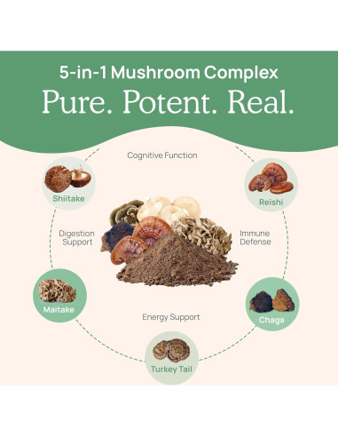Real Mushrooms Complejo de Hongos 5 en 1 - 45g