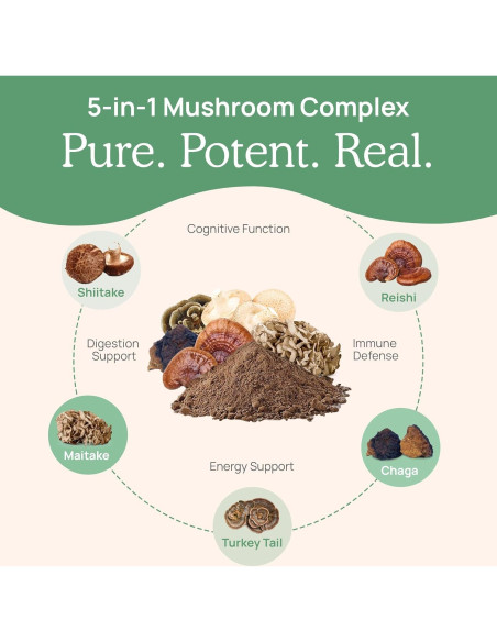 Real Mushrooms Complejo de Hongos 5 en 1 - 45g Real Mushrooms Complejo de Hongos 5 en 1 - 45g