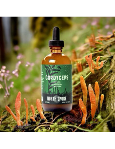 Tintura de Hongo Cordyceps Orgánico North Spore 118 ml - Energía y Vitalidad 2