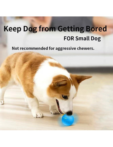 Pelota Interactiva para Perros Morhandisn 56mm Recargable USB