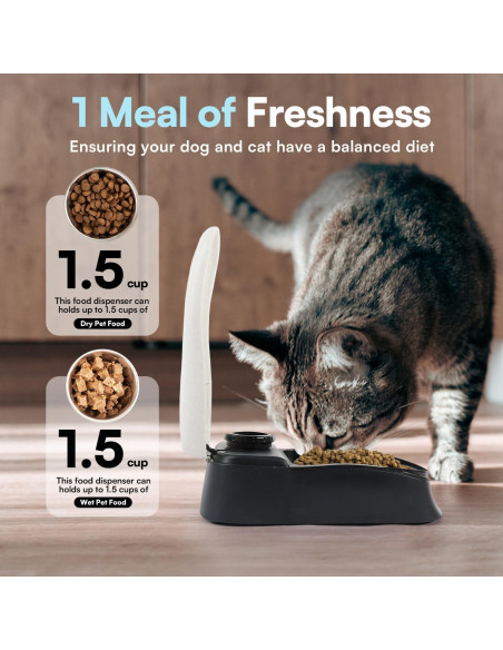 Comedero Automático Pawise para Mascotas 1.5 Tazas Comedero Automático Pawise para Mascotas 1.5 Tazas