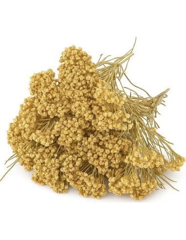 Corte de Milenrama Seco Premium - Hierbas Bio Orgánicas 56.7 g